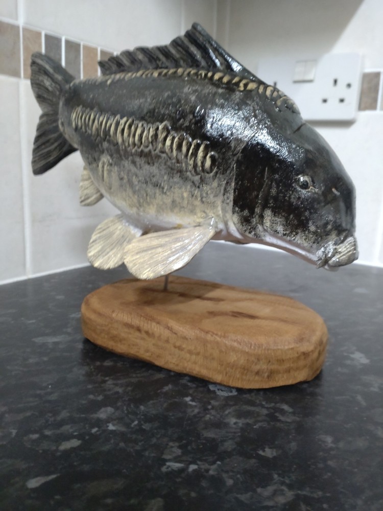 Carp Fishing, linear Carp statue