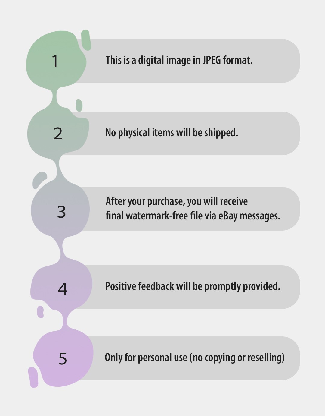 Digital Image Picture Photo Horse Pic Wallpaper Background