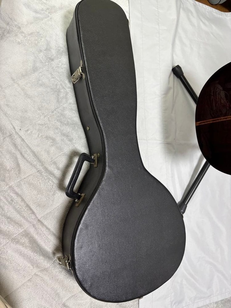 Oscar Schmidt Stella 12-string (1920s)