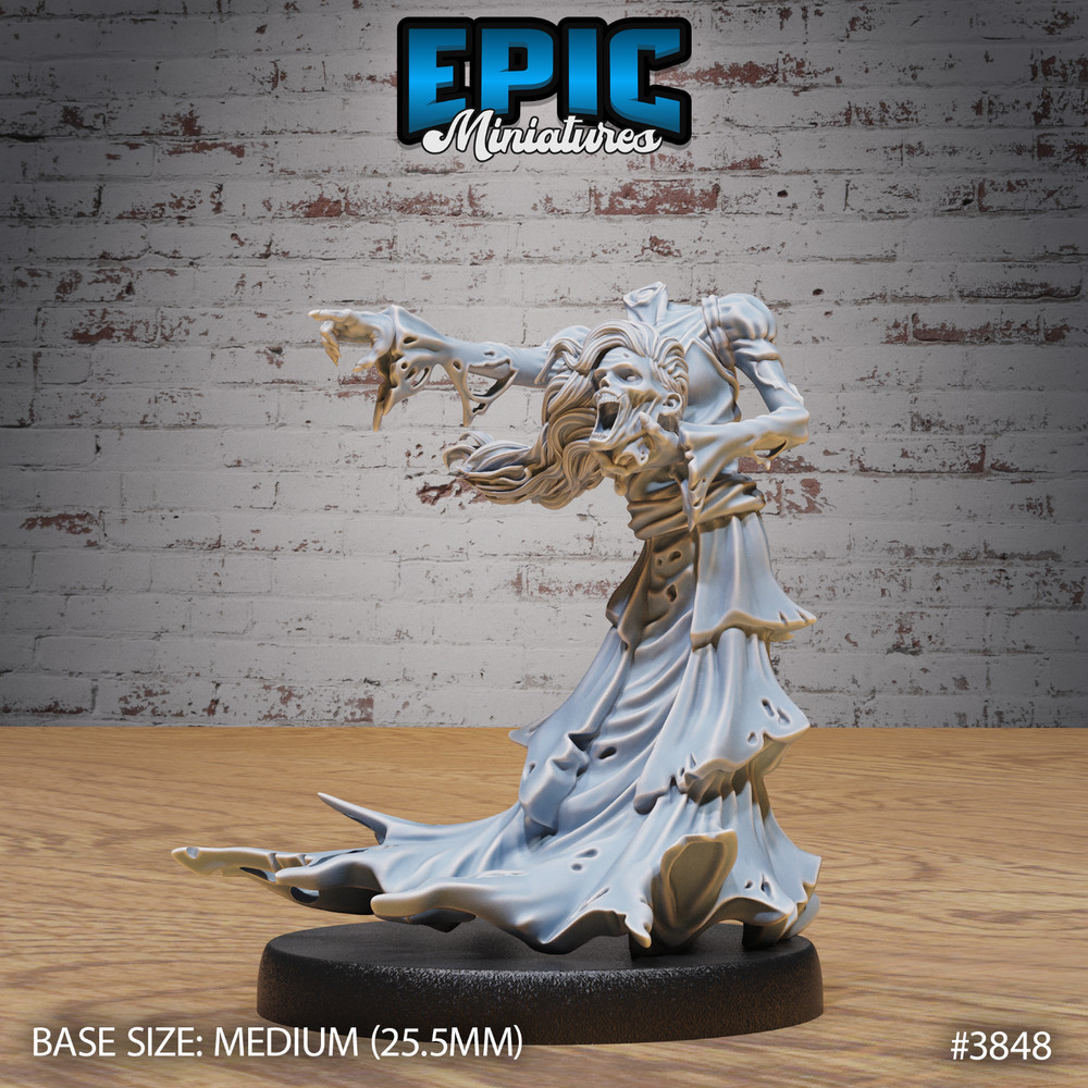Classic Banshee B | Epic Miniatures | RPG D&D Pathfinder Wargaming
