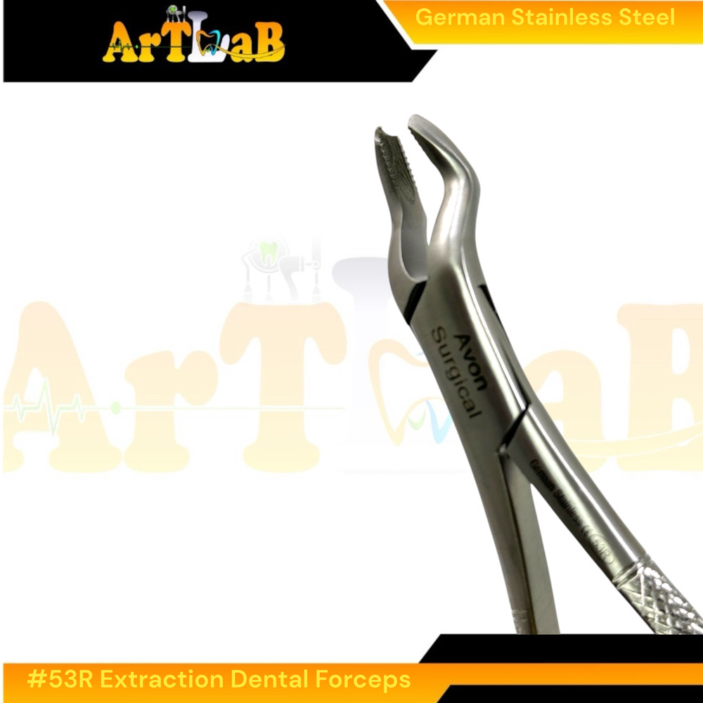 Right Upper First & Second Molar Extraction Forceps #53R, Serrated, 1pc
