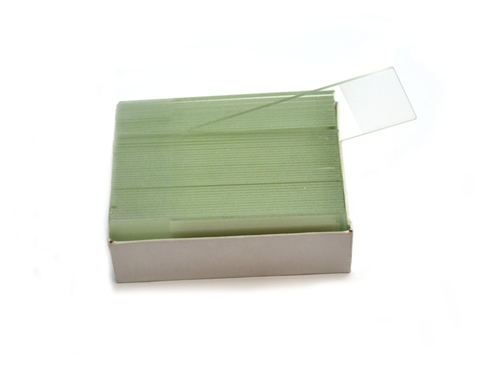 Glass Microscope Slides, 144 Pack - Precleaned - Frosted End - Eisco Labs