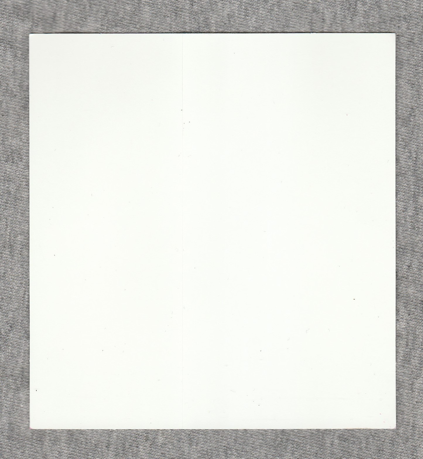 Pearl Jam Sticker Hard Rock Hollywood Florida April 24 2025 Seminole Native