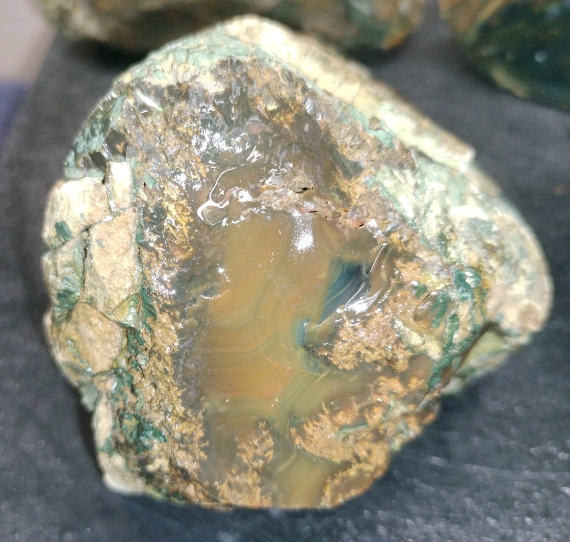 6.2LB ORBS Blue Mountain Picture of Jasper Rough 4pc Lot #23