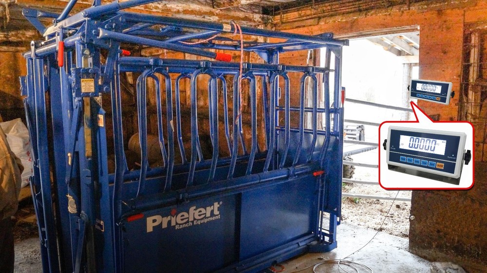 Livestock Scale Kit Cattle Hogs Squeeze Chute kit, With DATA software, Bluetooth