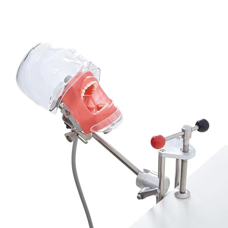 Dental Phantom Mannequin Head Simulator with Typodont Teeth Model for Training