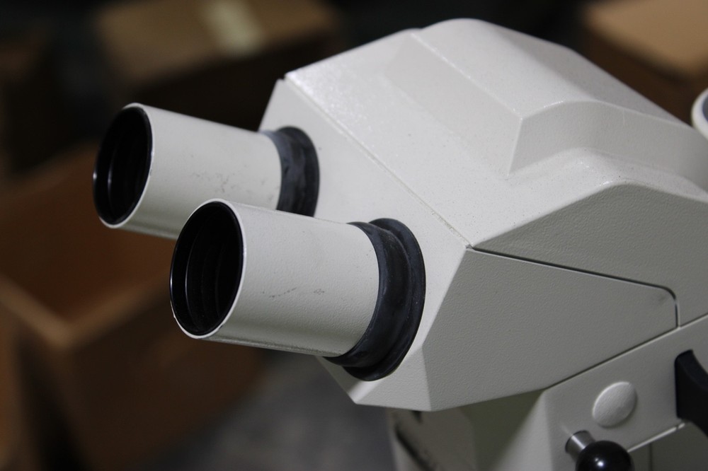 Zeiss Stemi SV 11 APO Stereo Microscope