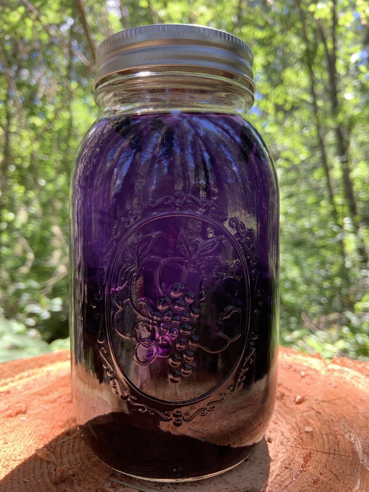 Indian Pipe Ghost Plant Tincture with Flower In Bottle 15 ml Drops monotropa 