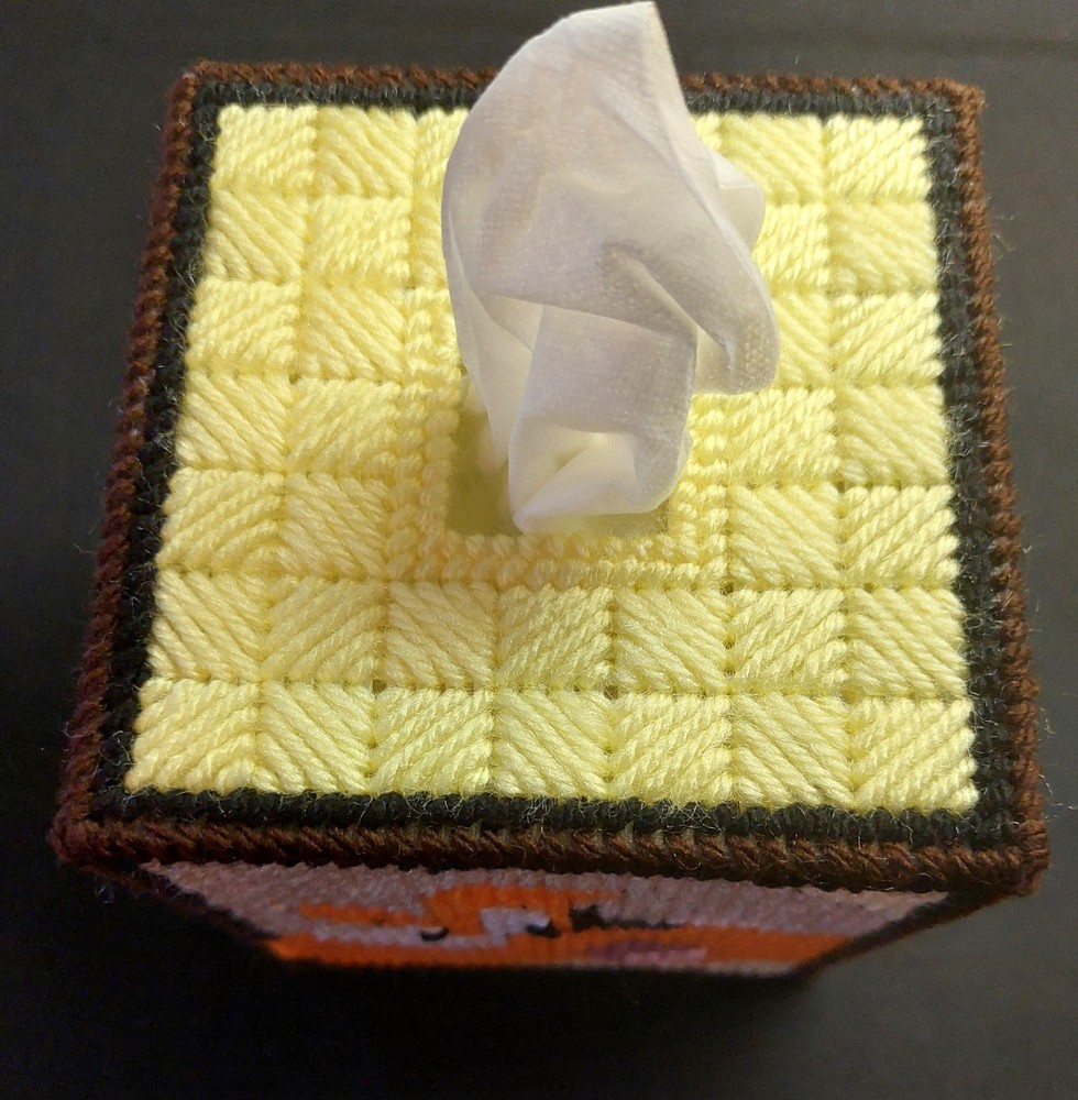 "Yosemite Sam" Tissue Box Cover (Plastic & Yarn) Finished
