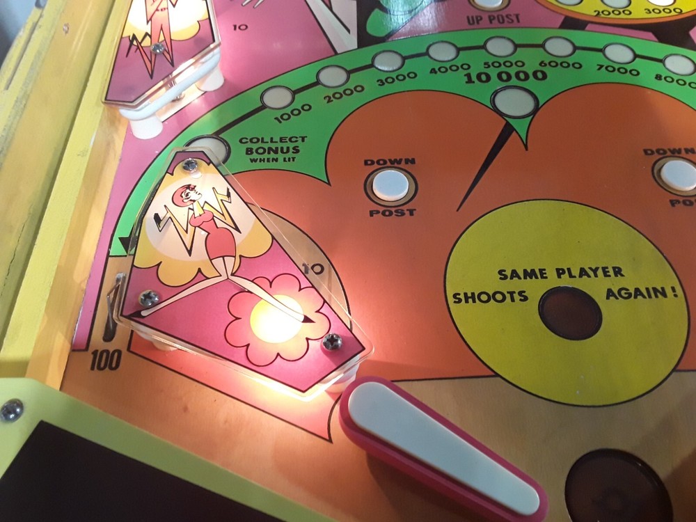 Zip-A-Doo Pinball Machine by Bally