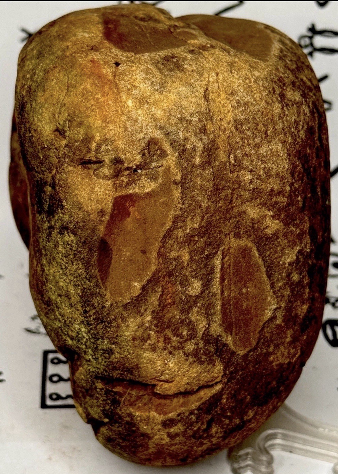 Native American Indian Authentic Artifact Stone Carved Effigy, 3 lb 2 oz • VA