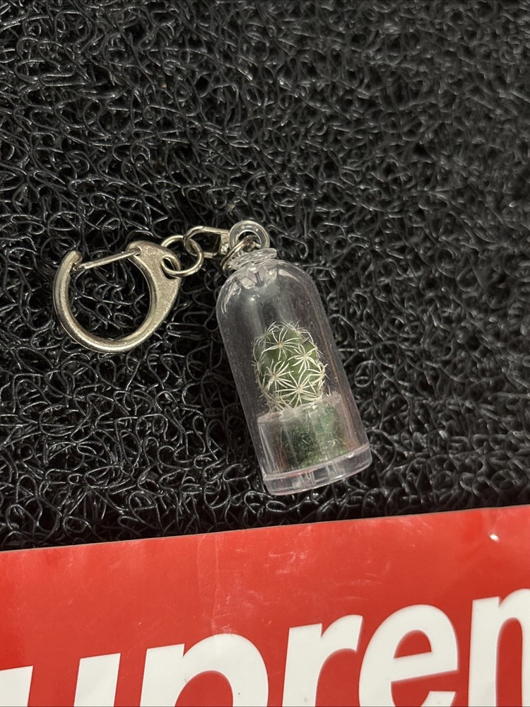 Supreme Cactus Keychain Box Logo SS18