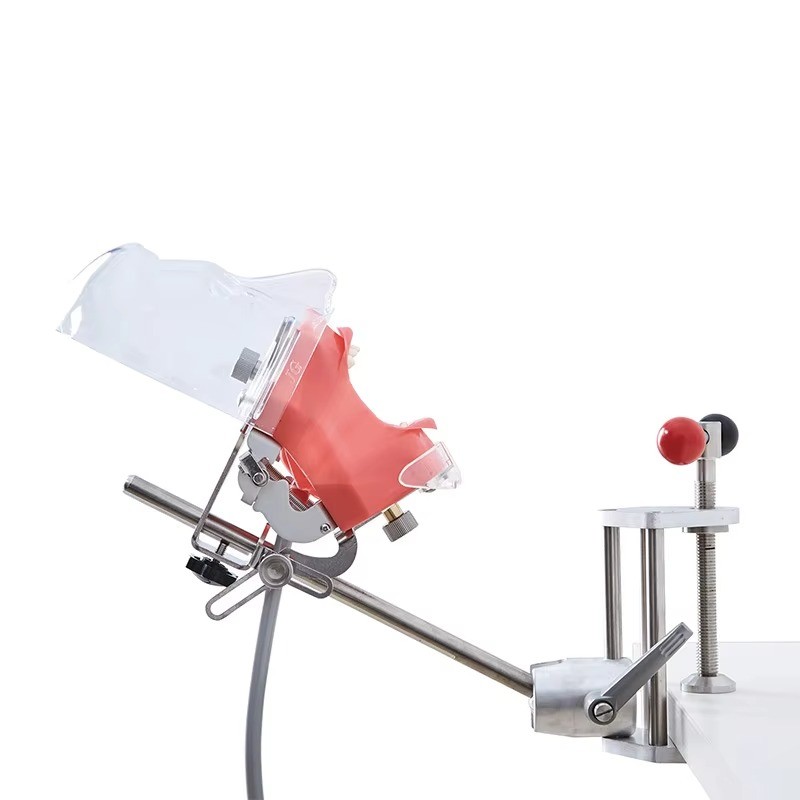 Dental Phantom Mannequin Head Simulator with Typodont Teeth Model for Training