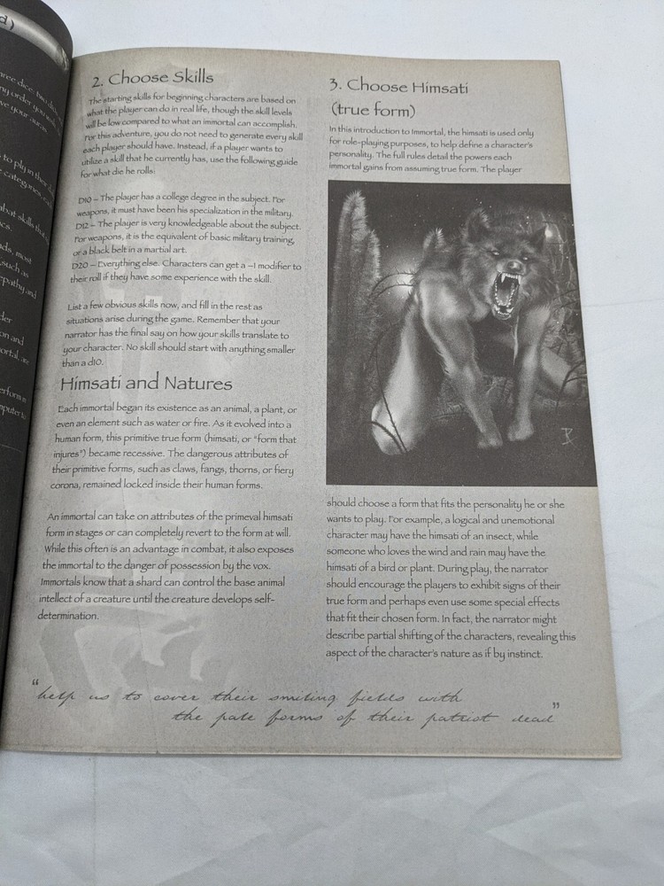 Immortal RPG Preview Introduction Book Precedence