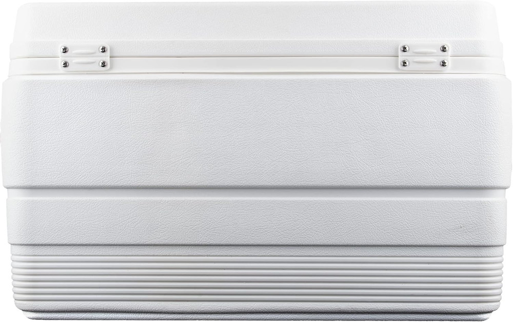 - 2 Pack White Igloo Cooler Hinges Replacement with Screws | High Strength Co...