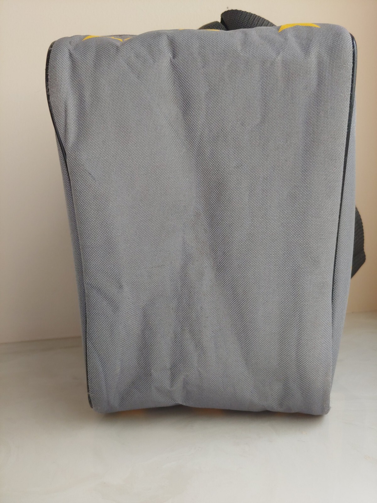 Disneys All-Star Resort Insulated Soft Sided Cooler w/ Shoulder Strap 10×10×6.5"