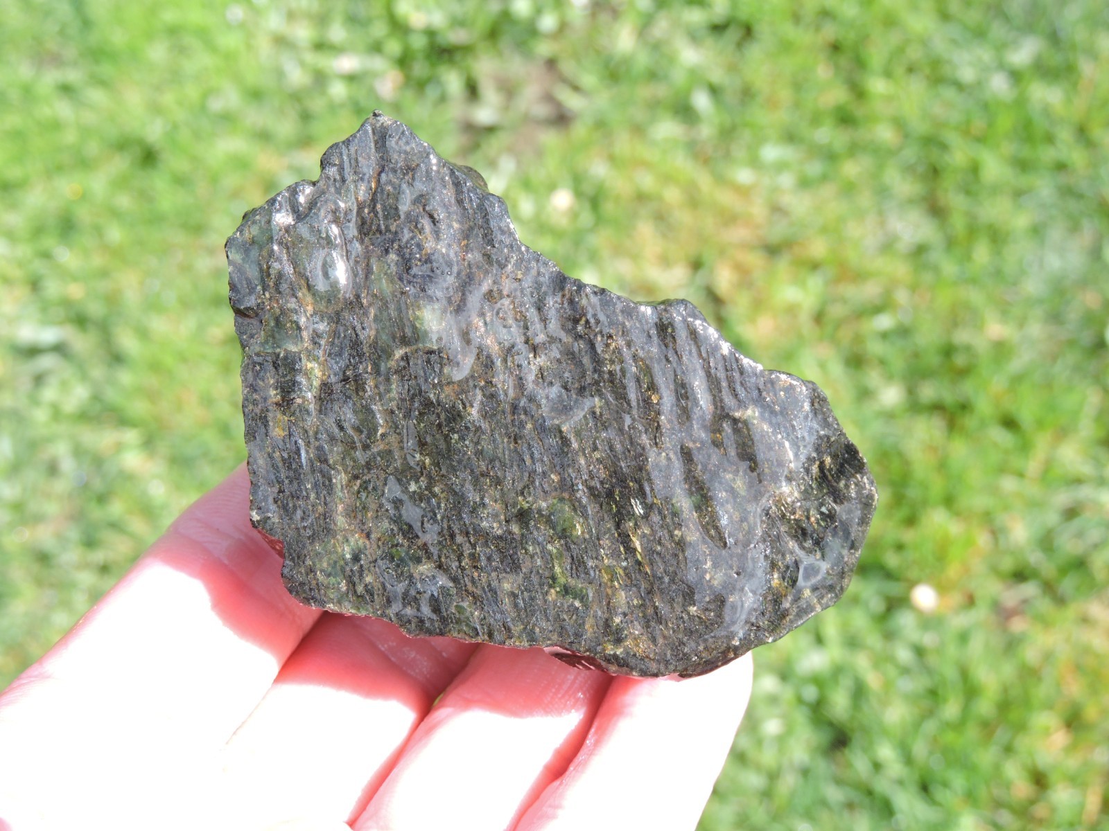 OREGON DARK GREEN SERPENTINE Rough Stones. *MAGNETIC* 100% Natural (8 lb)