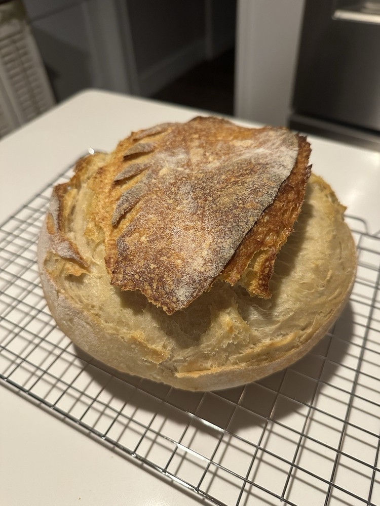 Sourdough Starter 20grams Dehydrated Strong