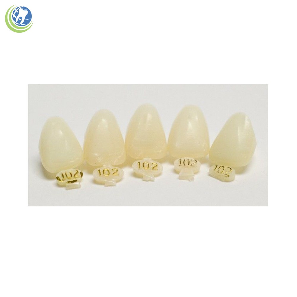 DENTAL POLYCARBONATE TEMPORARY CROWNS #102 (ULC) UPPER LEFT CENTRAL 5/PACK