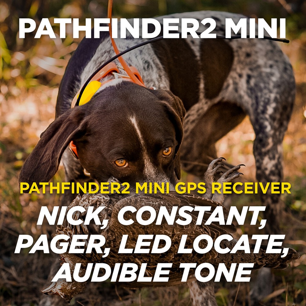 Dogtra PATHFINDER2 MINI GPS Tracking & Training E-Collar SmartPhone FREE Cut'em
