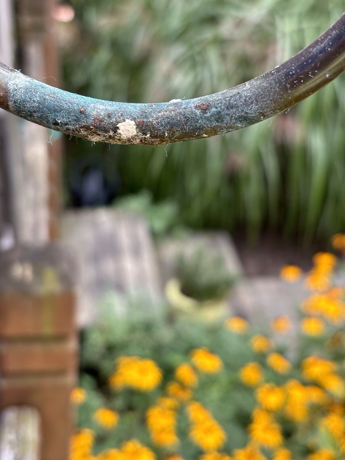 French hand painted 6 arm Porcelain Chandelier from the 20-40s