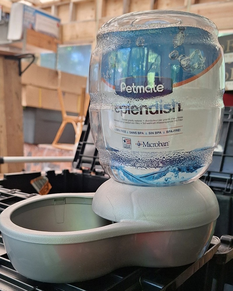 Petmate Replenish Pet Waterer with Microban