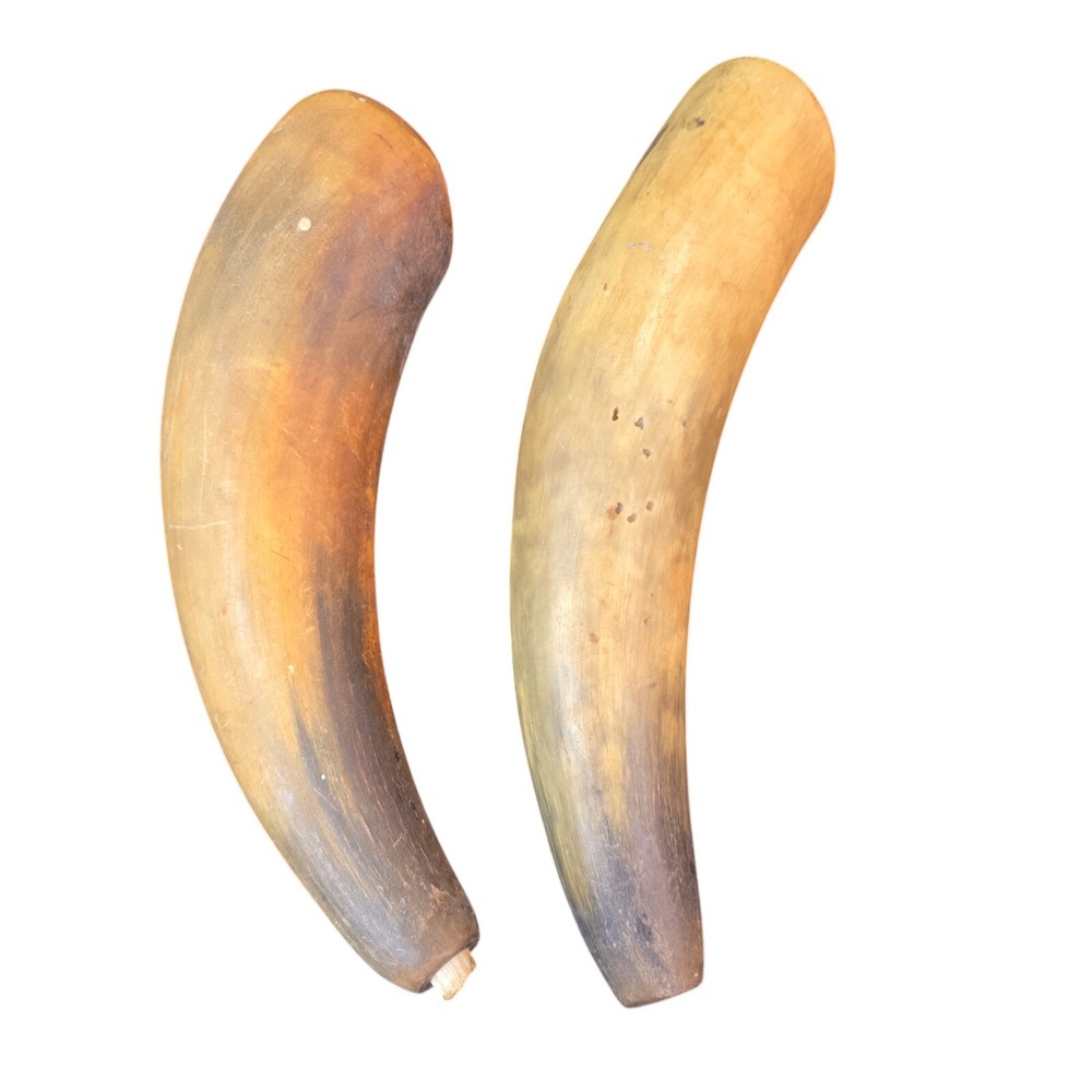 Antique Powder Horns