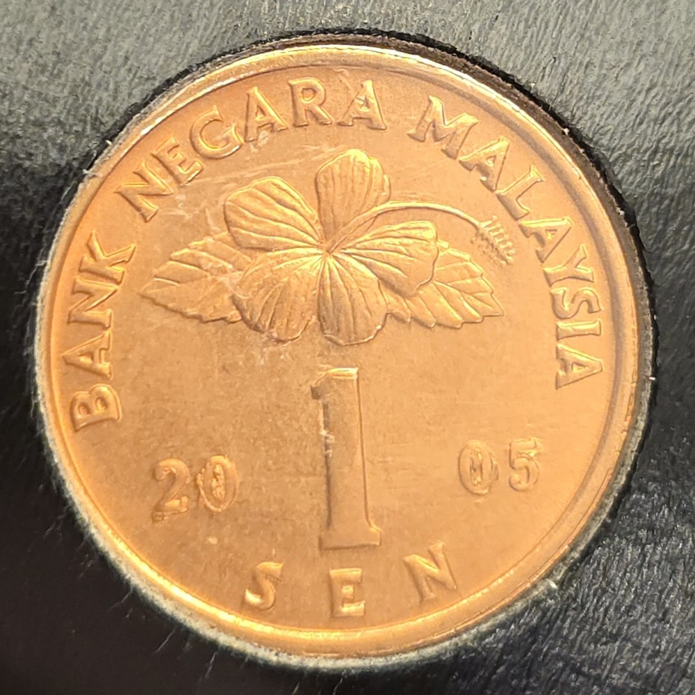 2005 MALAYSIA 1 SEN COIN WITH MULTIPLE ERRORS BOTH SIDES