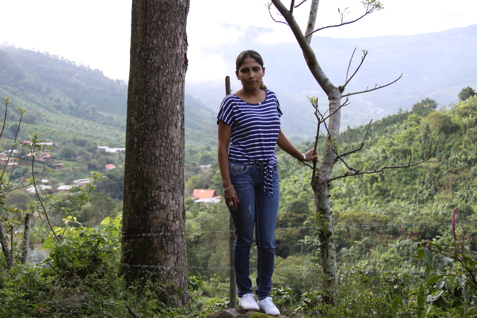 100% JAMAICAN BLUE MOUNTAIN COFFEE BEANS PEABERRY MEDIUM ROASTED 2 TO 12 POUNDS