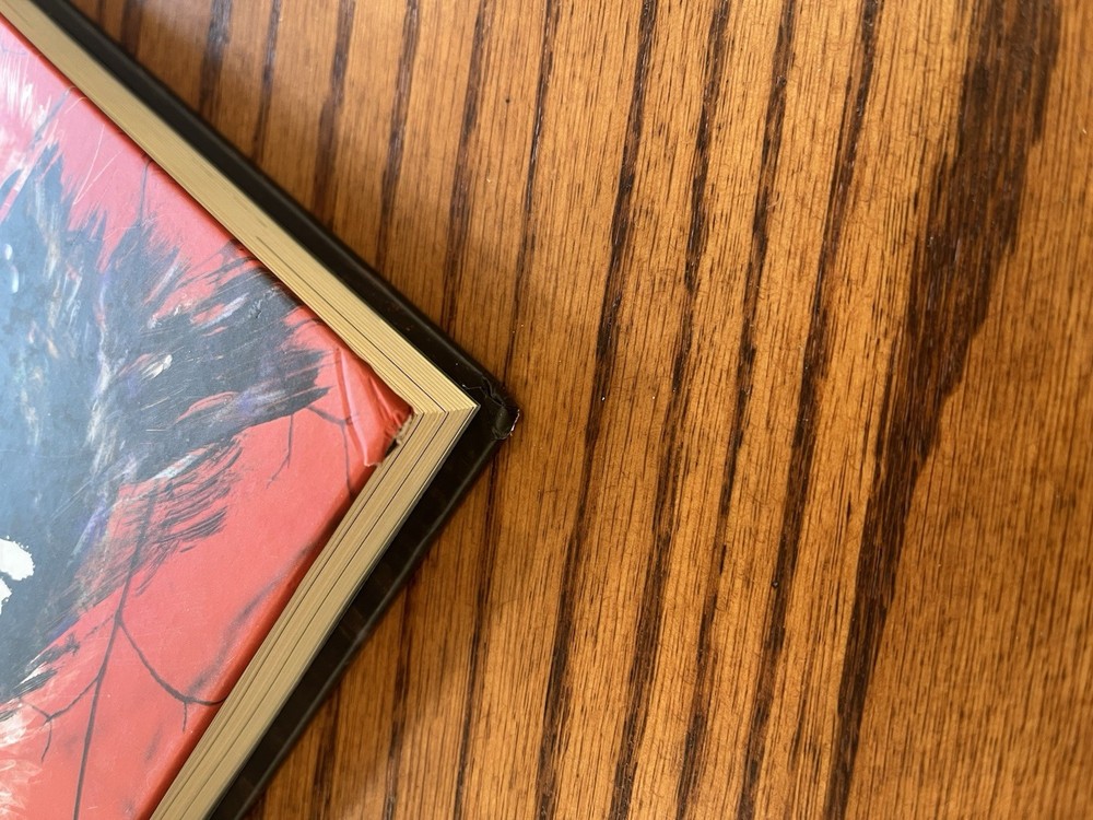 Werewolf: The Apocalypse 5th Edition RPG - DING & DENT