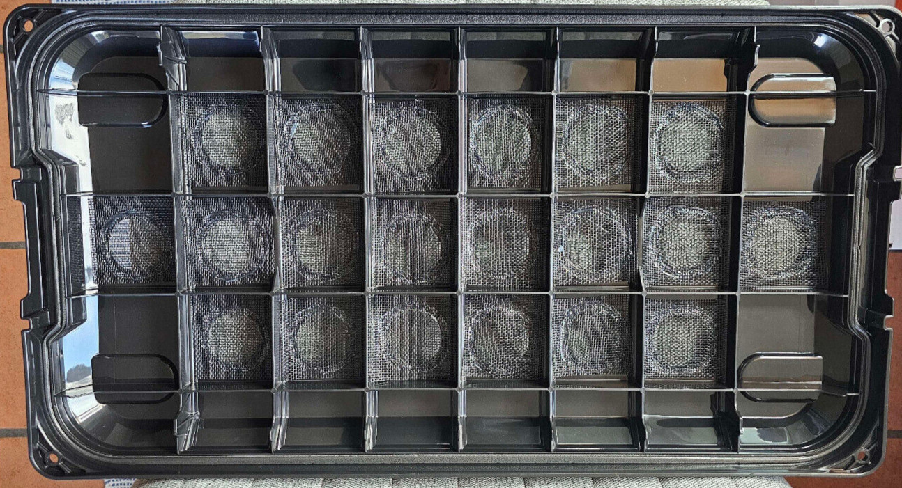 XXL Heated insect breeder box+Dubia Colony 100F/40M+1000 Small & Cleaner Crew