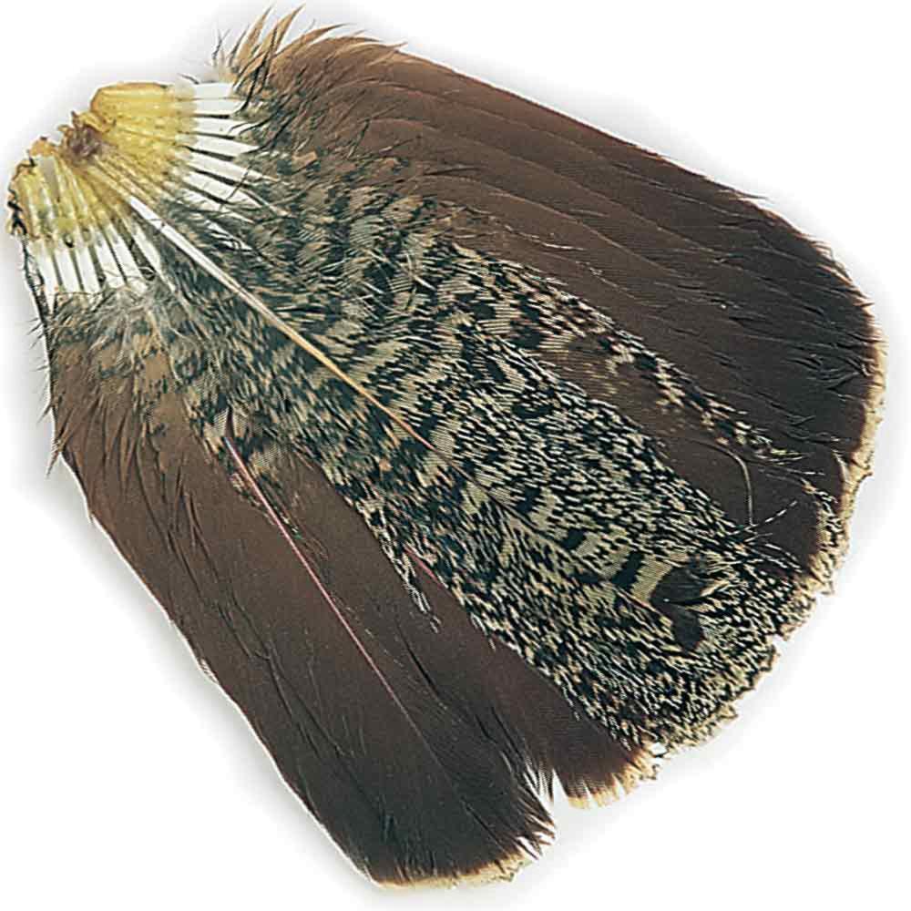 English Partridge Complete Tail