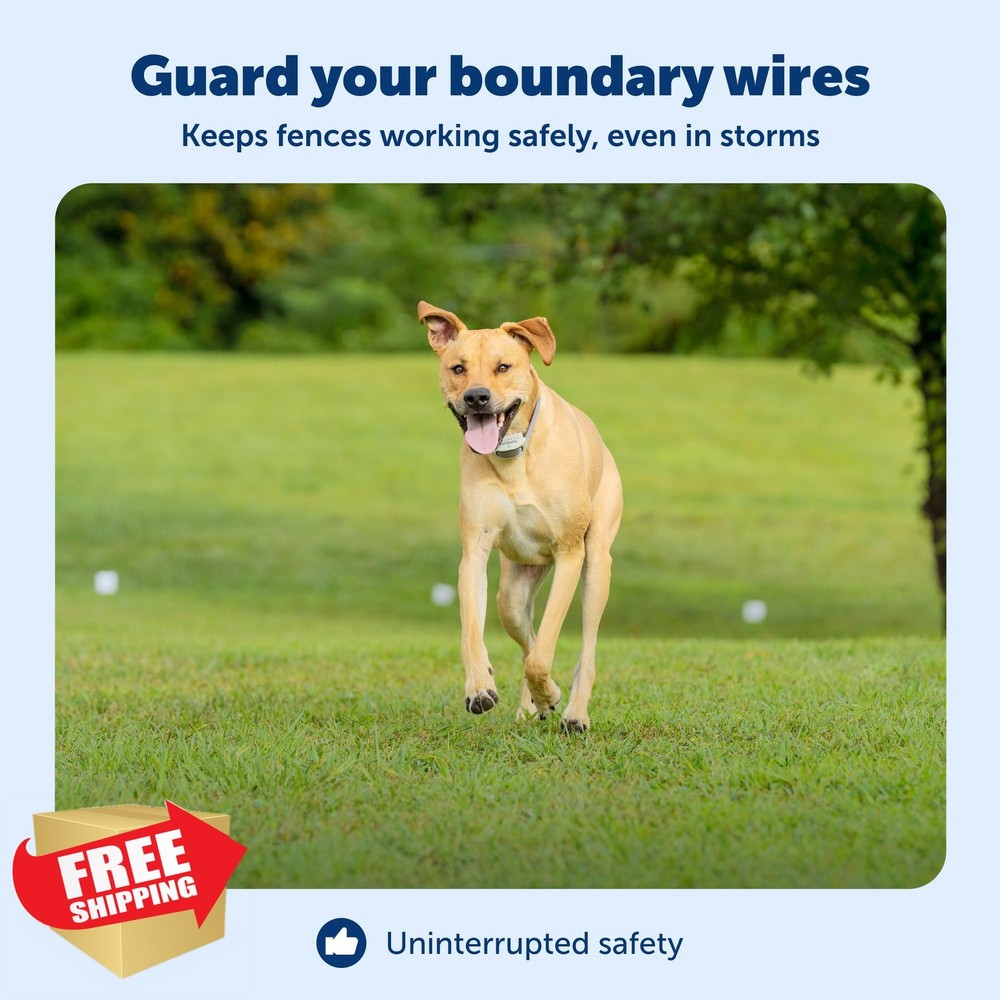 PetSafe Surge Protector for Pet Fence System