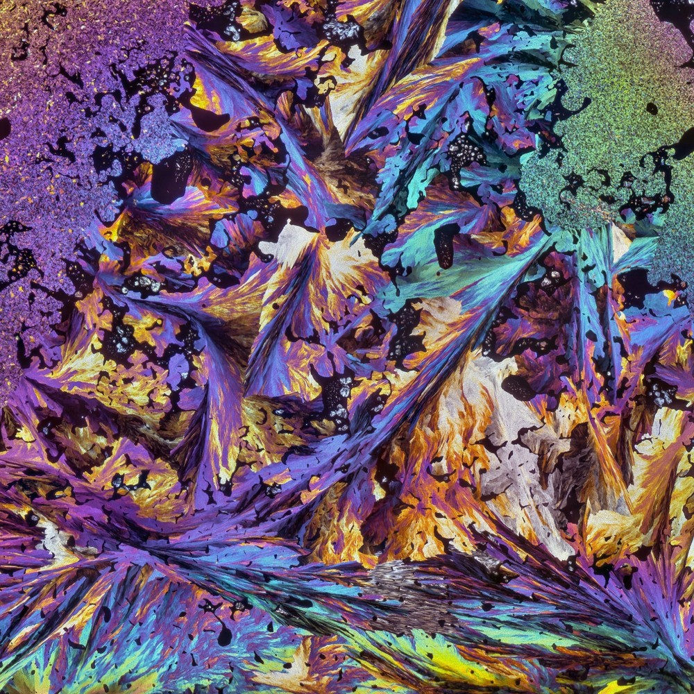 Microscope slide for polarized light, COUMARIN