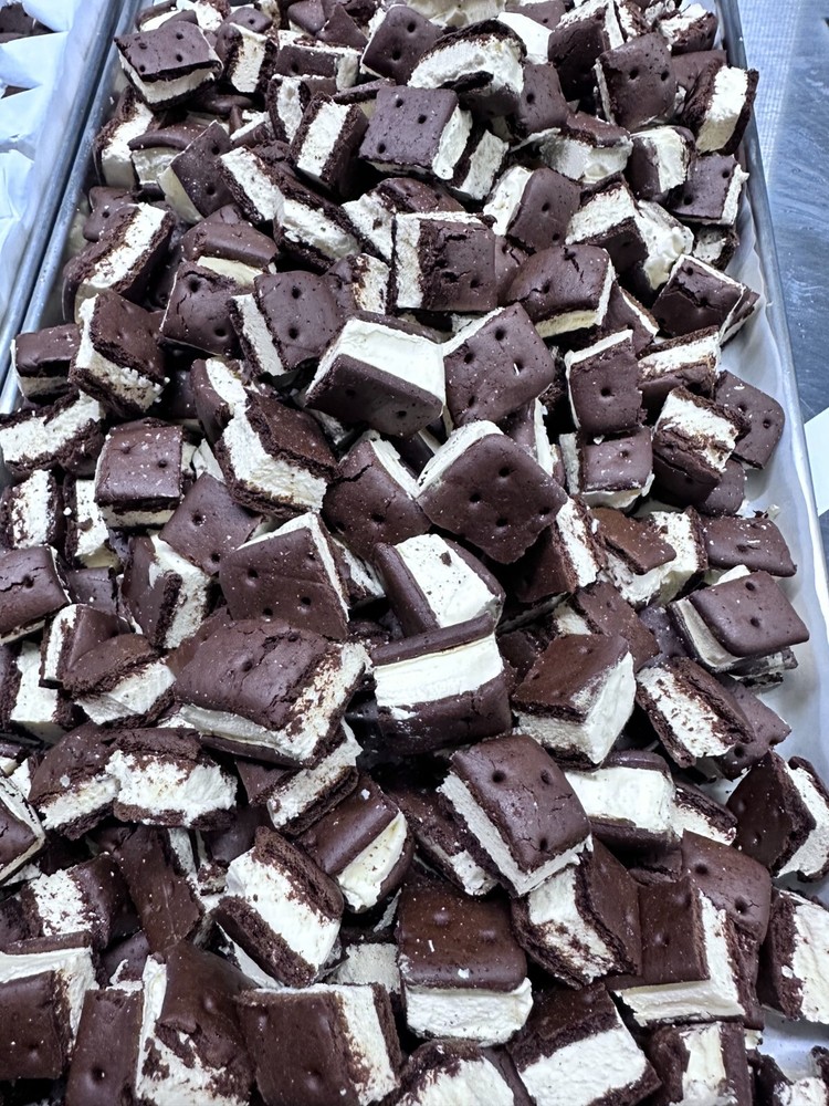 Freeze Dried Ice Cream Bites