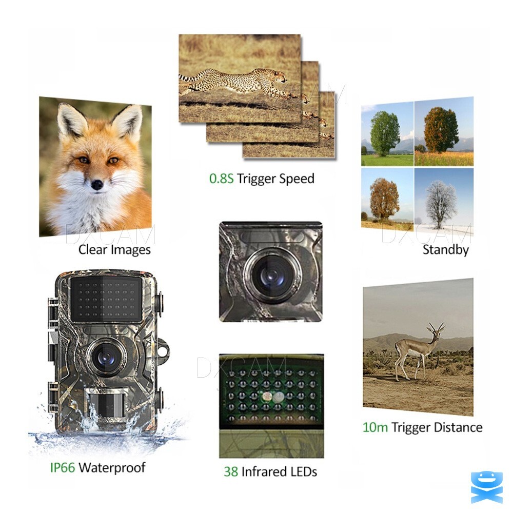 Wildlife Hunting Trail Camera Full HD 1080P Night Vision Motion Waterproof Cam