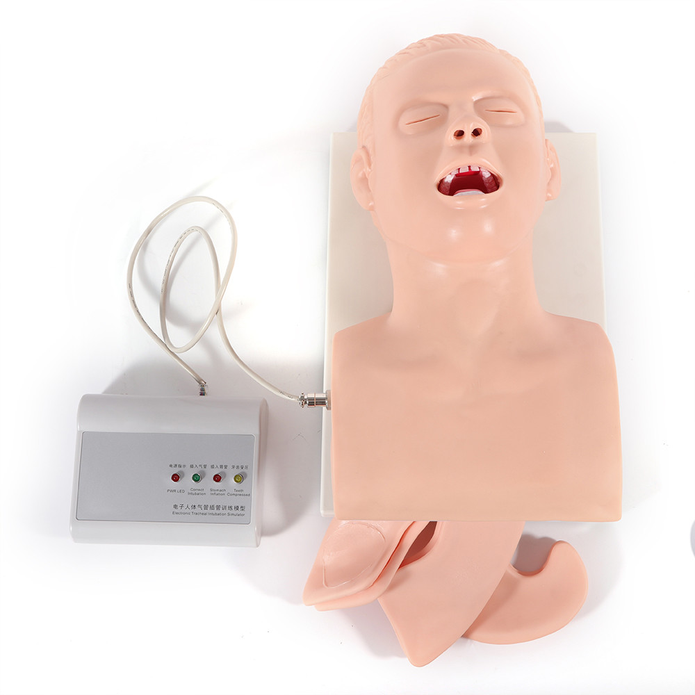 Intubation Manikin Study Teaching Simulator Airway Management Trainer Tool Model