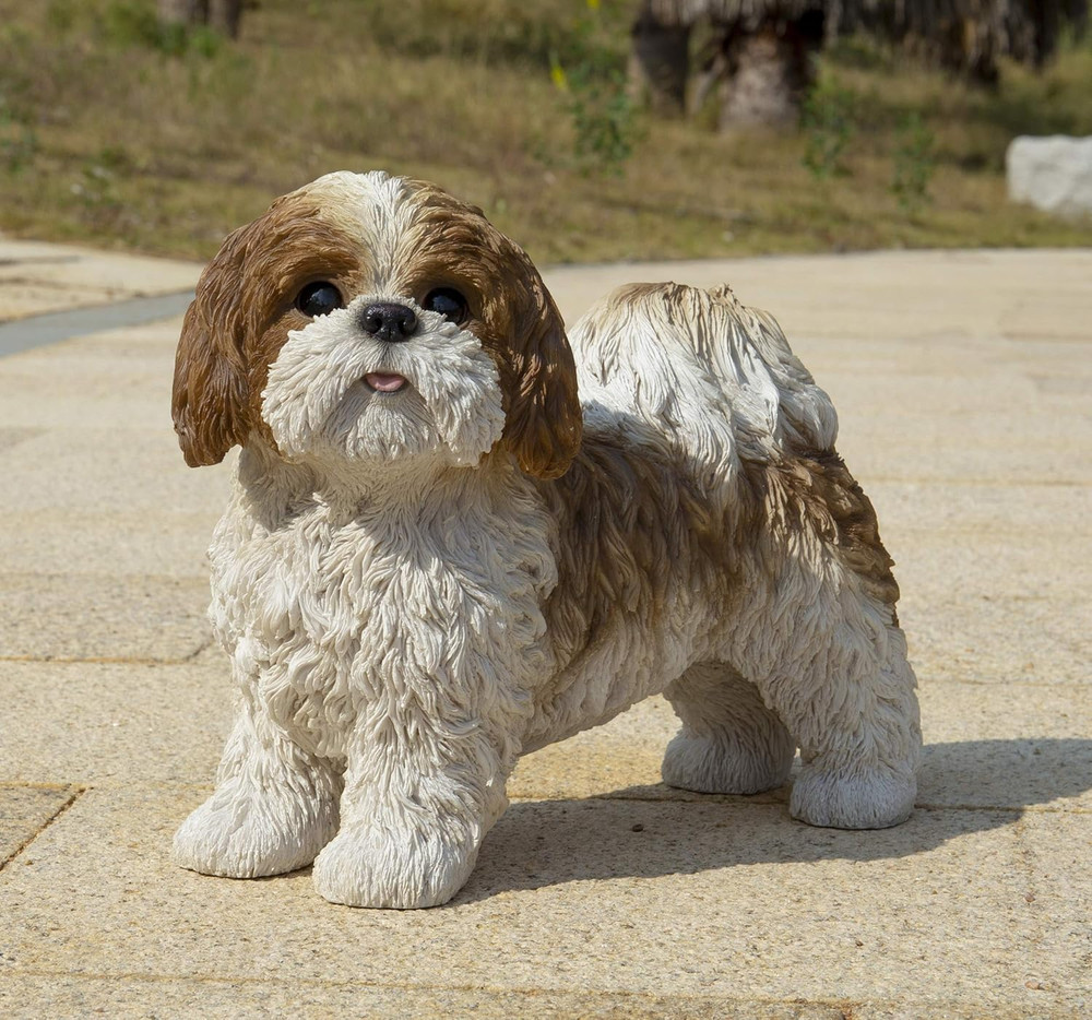 Gift Brown & White Standing Shih TZU