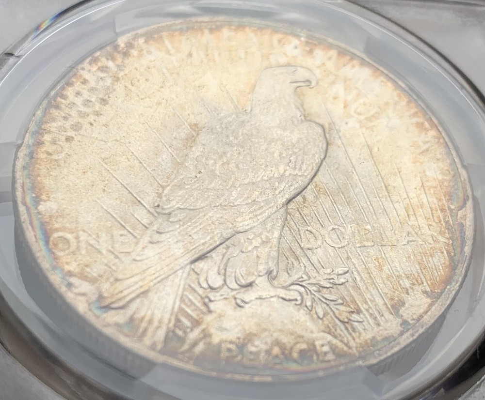 1925 PCGS/MS64 Monster Toned Peace Dollar