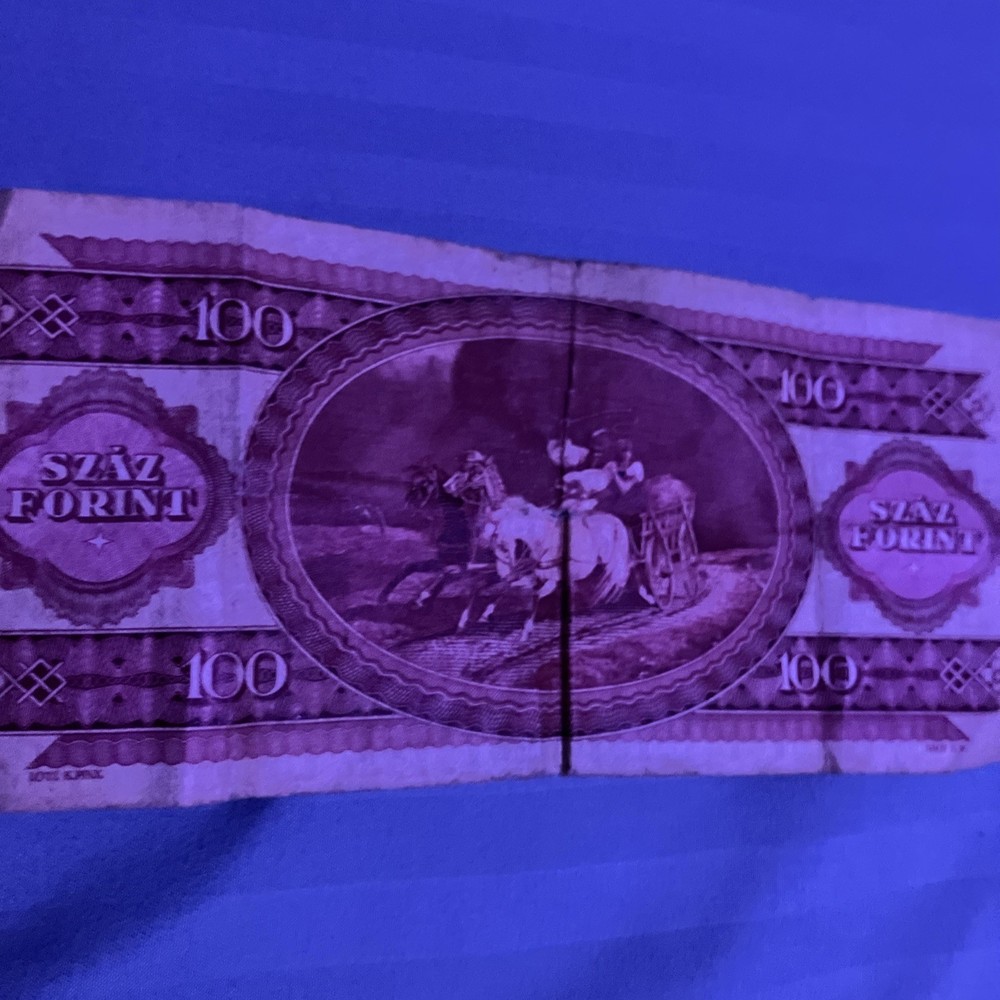 Hungary 100 Forint Banknote 1984 Extremely Circulated