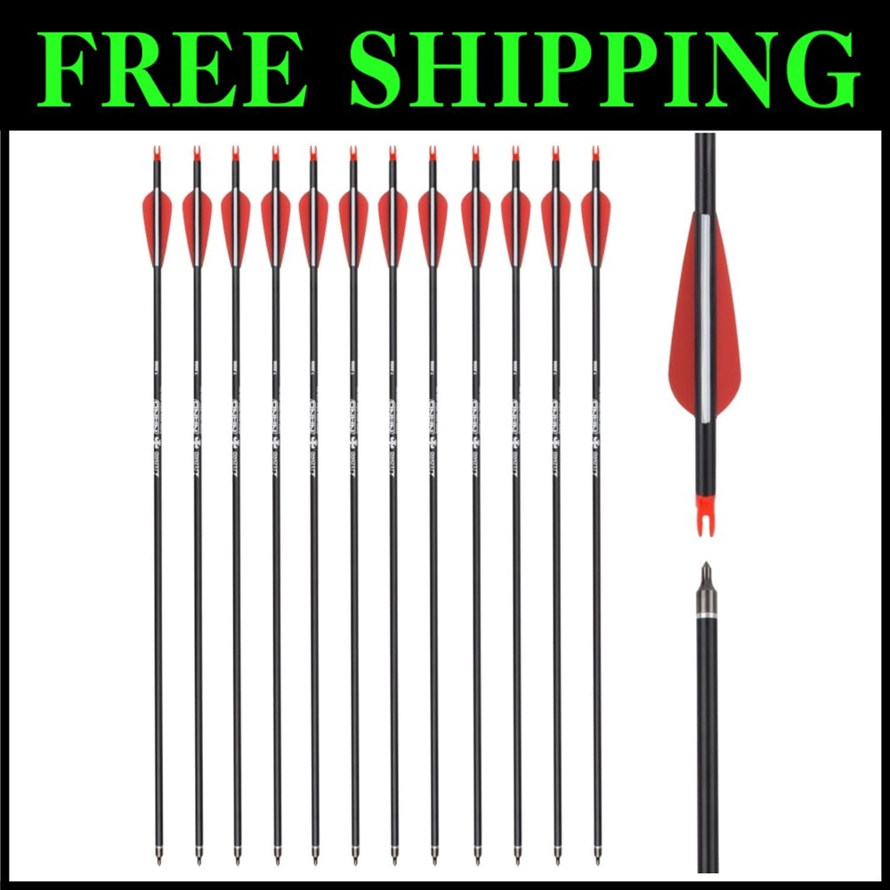 Carbon Arrow Set 12-Pack for Target Practice