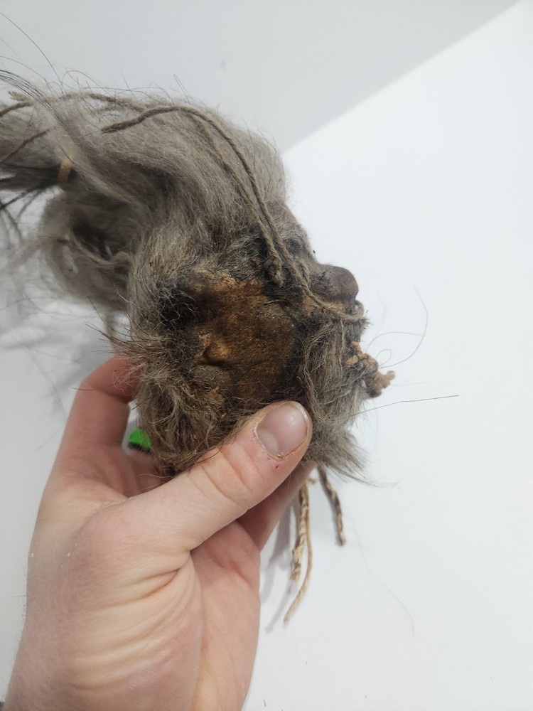 Shrunken Head, Oddities Curiosities,wierd Medium Used