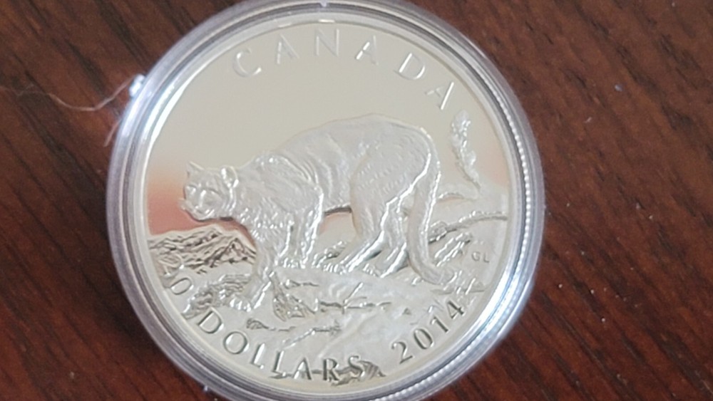 2014 RCM Cougar Set In Case