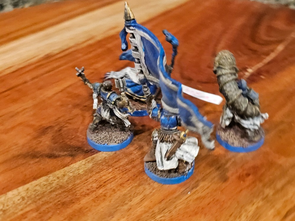 FFG Runewars Miniatures Game Daqan - Infantry Command Unit Expansion Painted