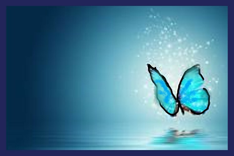 Blue Sparkle Butterfly Beauty Shadow Reflection Flutter  MAGNET