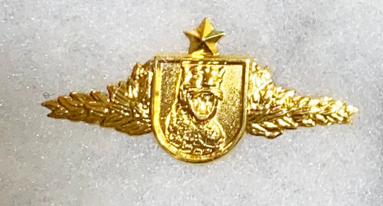 Brazilian Special Forces Qualification Wing