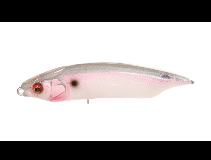 Megabass Karashi 80 ALBINO PEARL GB