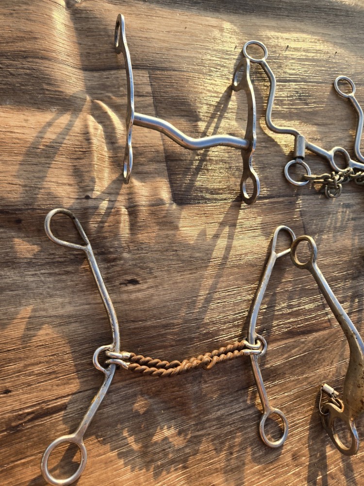 4 Horse Bits