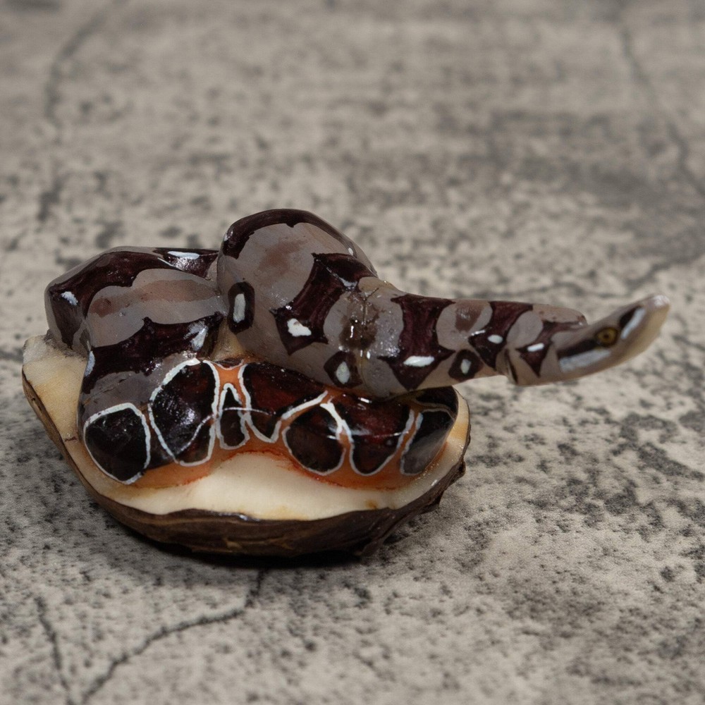 Boa Constictor Snake Tagua Carving