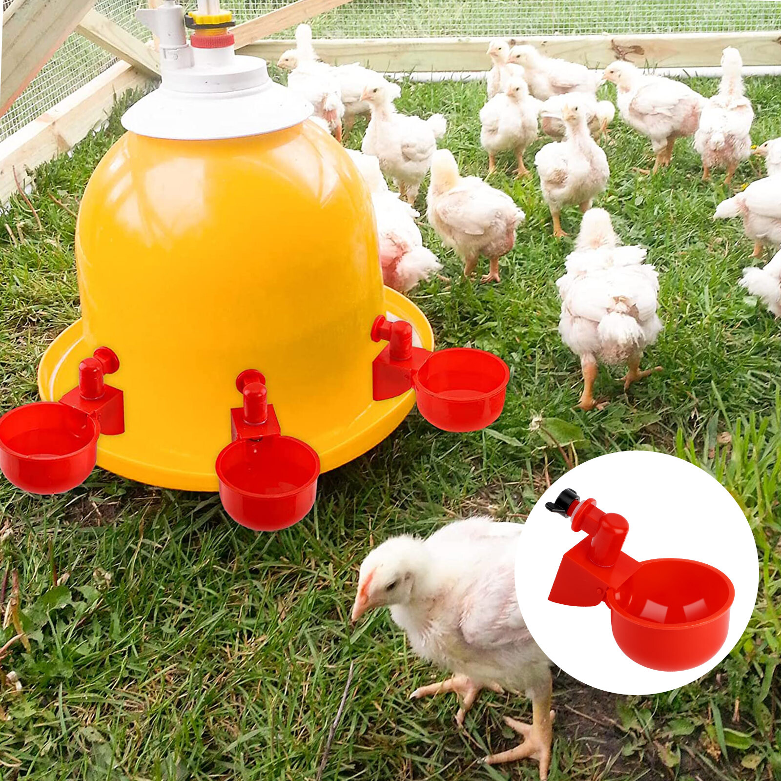 12PCS Chicken Automatic Watering Cups Drinker Waterer for Duck Quail Hen Poultry